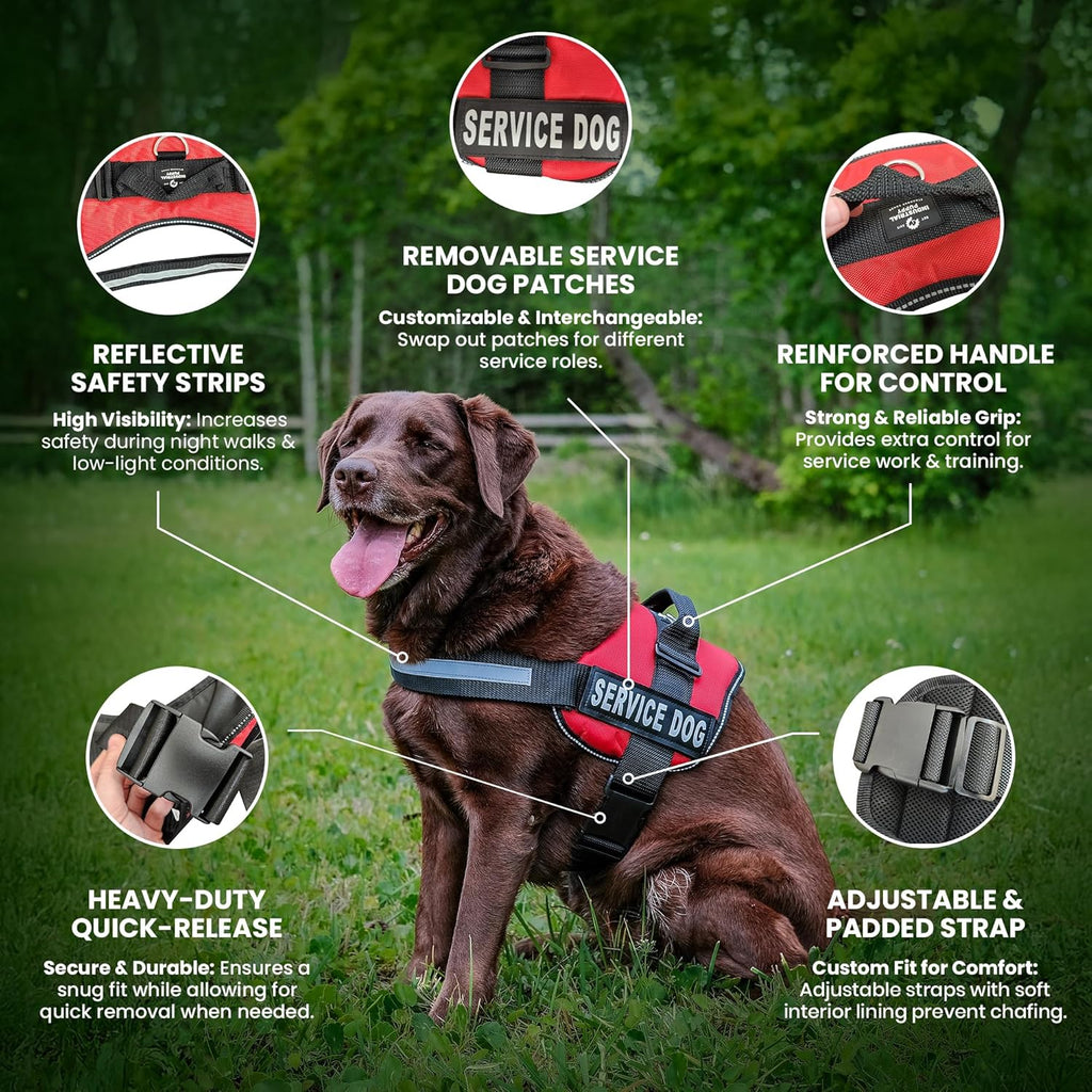 Service Dog in Training Vest with Hook and Loop Straps and Handle - Harnesses in Sizes from XXS to XXL - Service Dog Vest Harness Features Reflective Patch and Comfortable Mesh Design